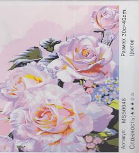 Корица: Картина по номера MSB0048
